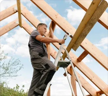 Construccion de Tejados